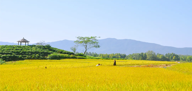 黟县发布和美乡村建设白皮书