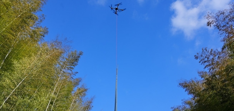 无人机助力毛竹下山