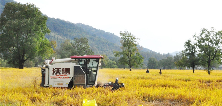机械助力颗粒归仓