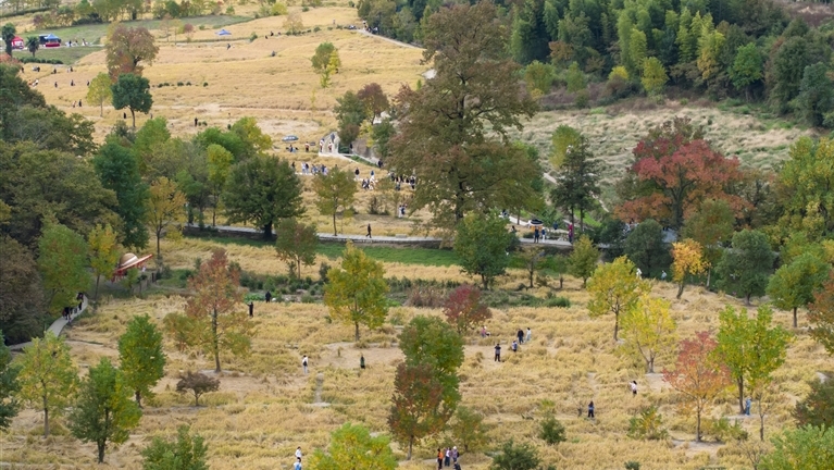 塔川秋色醉游人